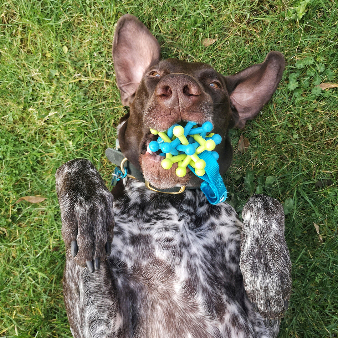 Coockoo Rubber Woven Ball with Handle  Dog/Puppy Toy