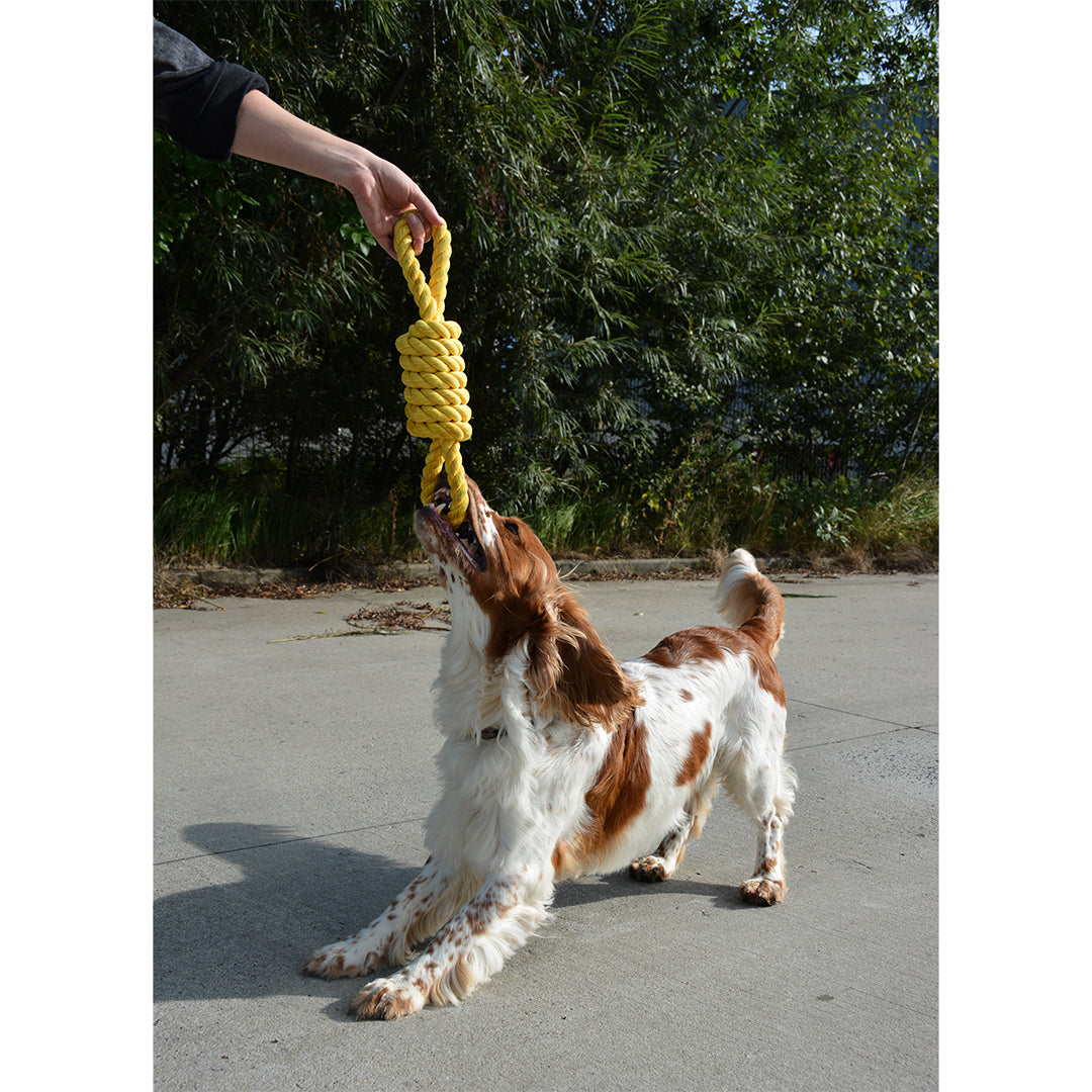 Tug Life Playing Rope 2 Loop Dog/Puppy Toy