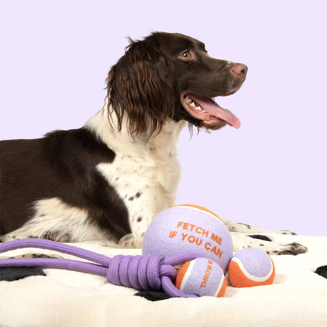 Coockoo THROW ME Ball with Loop Dog/Puppy Toy