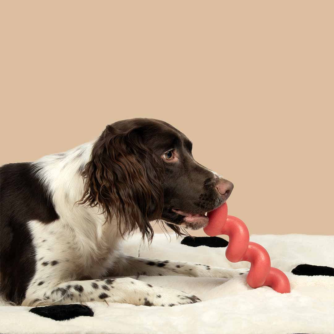 Rubber SQUIGGLE Throw/Fetch Dog/Puppy Spiral Toy