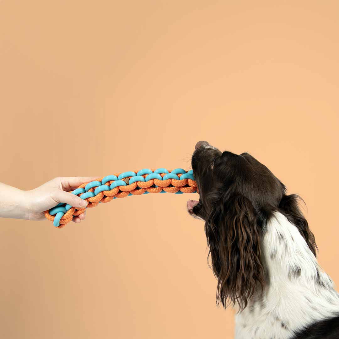 TPE & Rope Braided Tug Dog/Puppy Toy