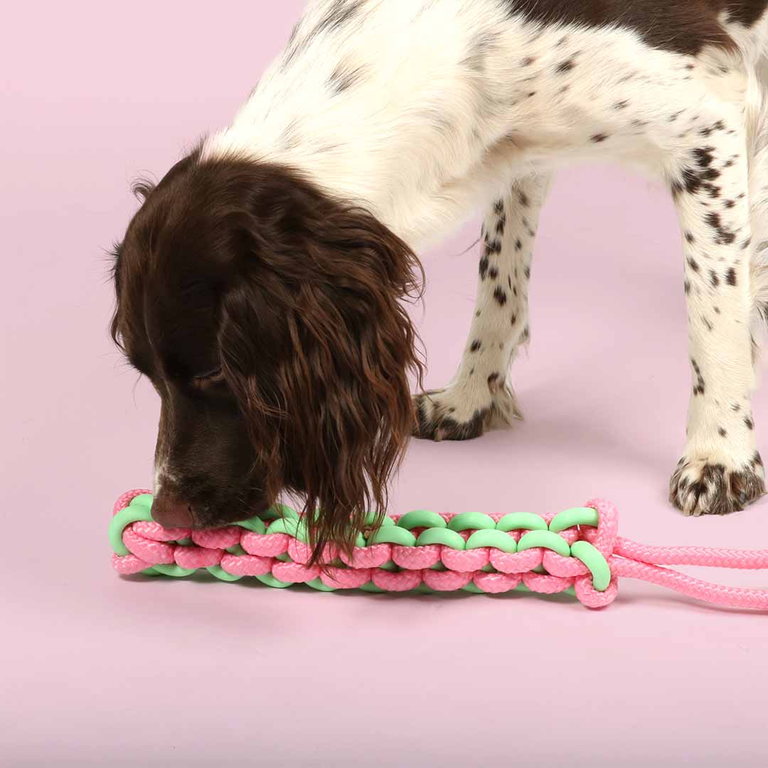 TPE & Rope Braided Tug Dog/Puppy Toy
