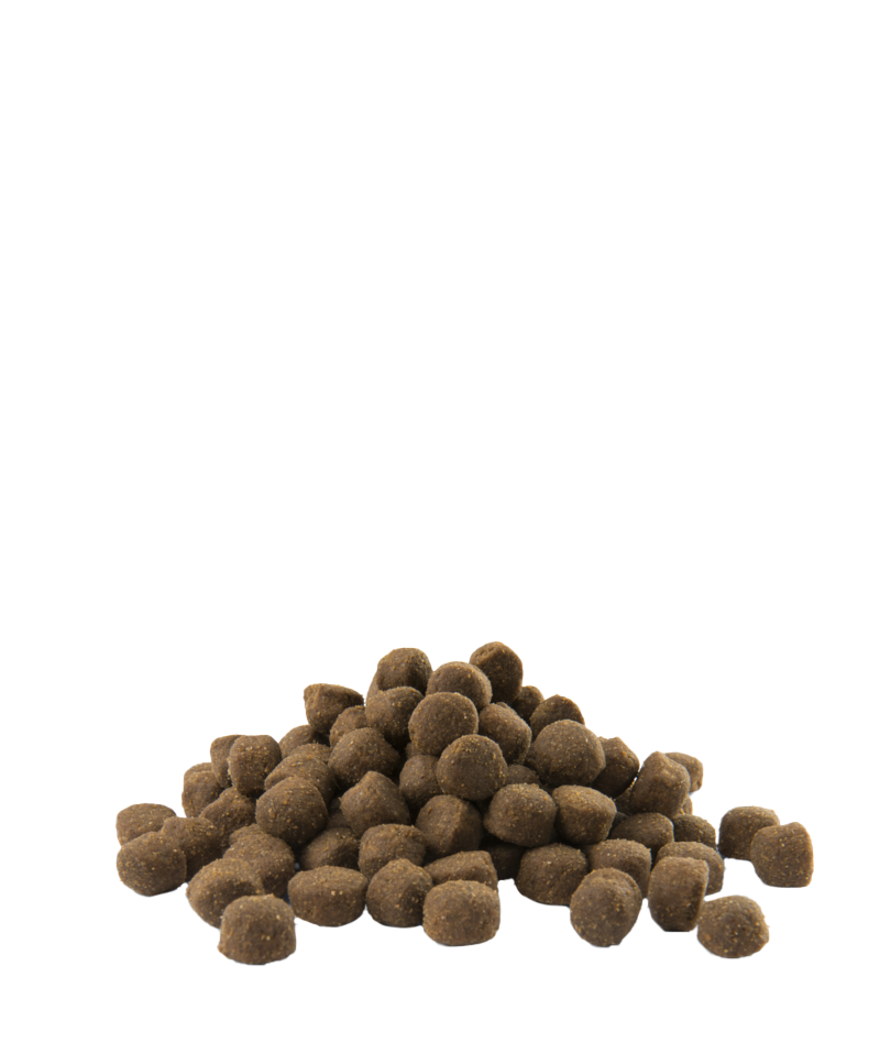 Versele Laga Opti-Life Adult All Breeds Active Dogs Food Chicken 12.5kg