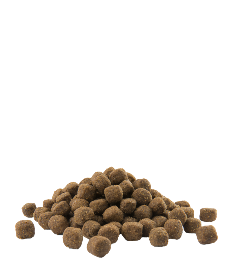 Versele Laga Opti-Life Adult Hypoallergenic Medium Chicken Dog Food 2.5kg