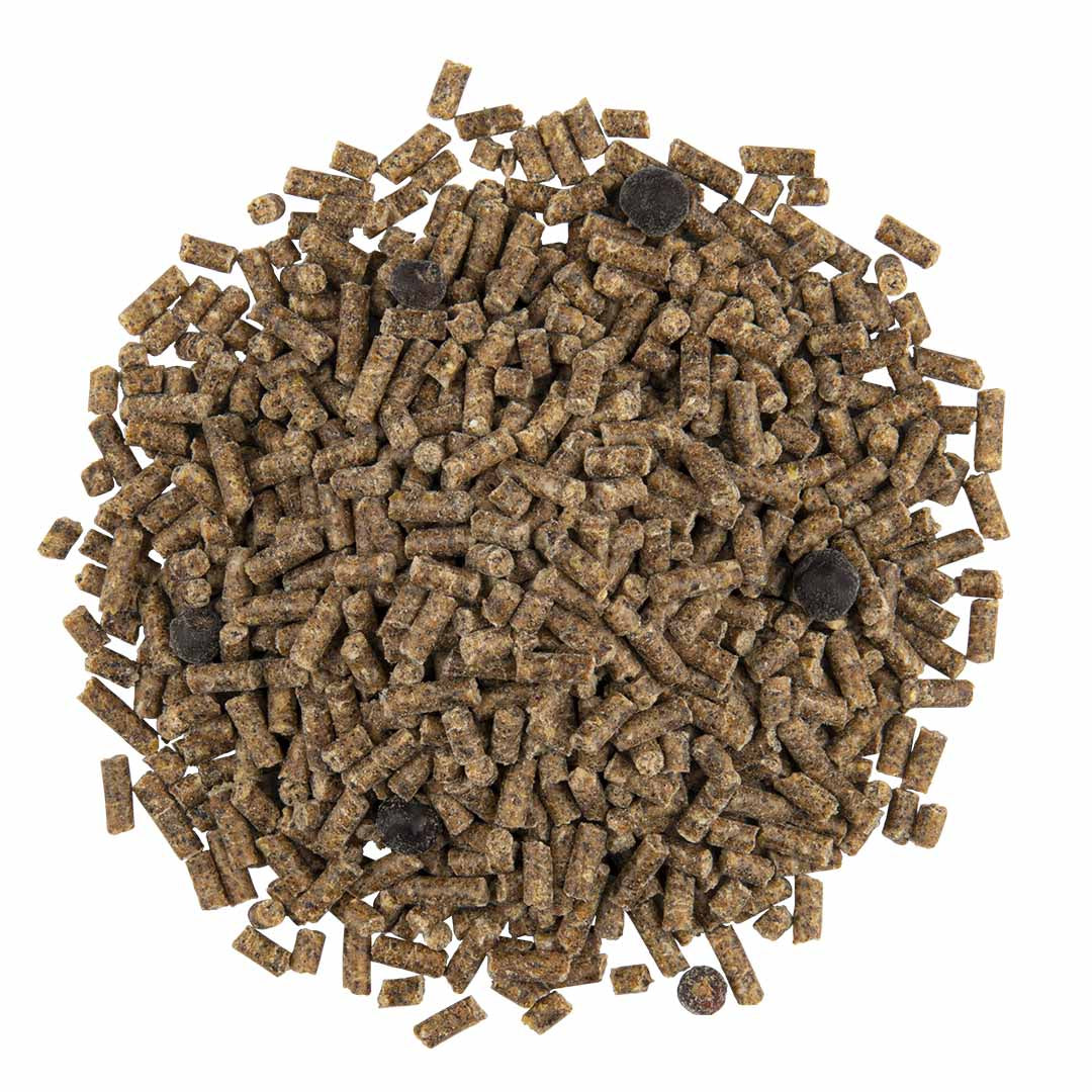 Cede Universal Softbill Bird Pellets 1kg