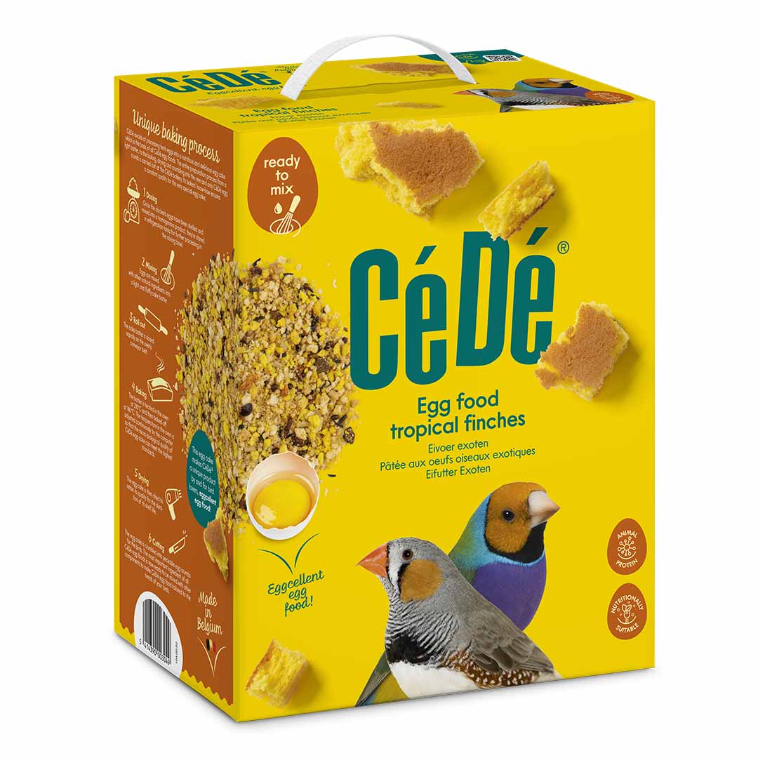 Cede Egg Food Tropical Finch