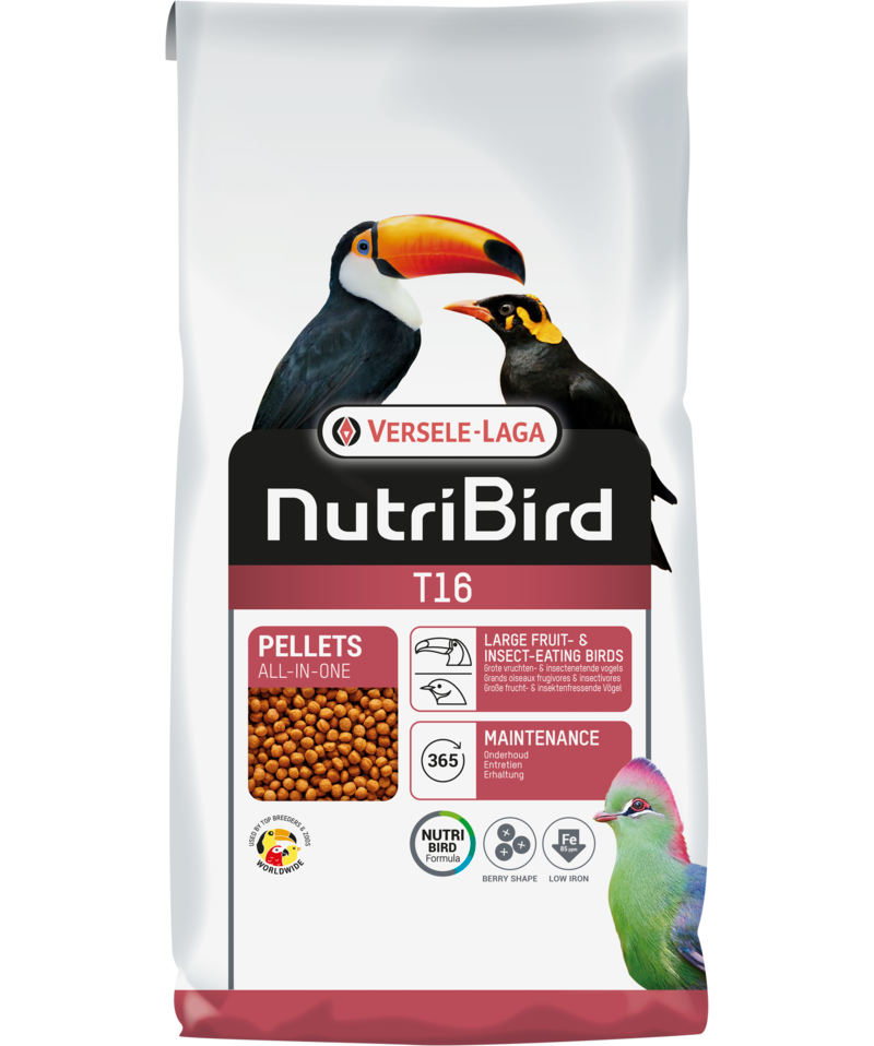 Versele Laga Nutribird T16 Extruded food seed Fruit and Insect Eating Birds 10kg