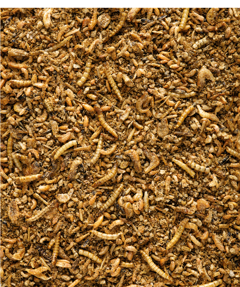 Versele Laga Nutribird Insect Patee Premium Feed For All Insect-Eating Birds 2kg