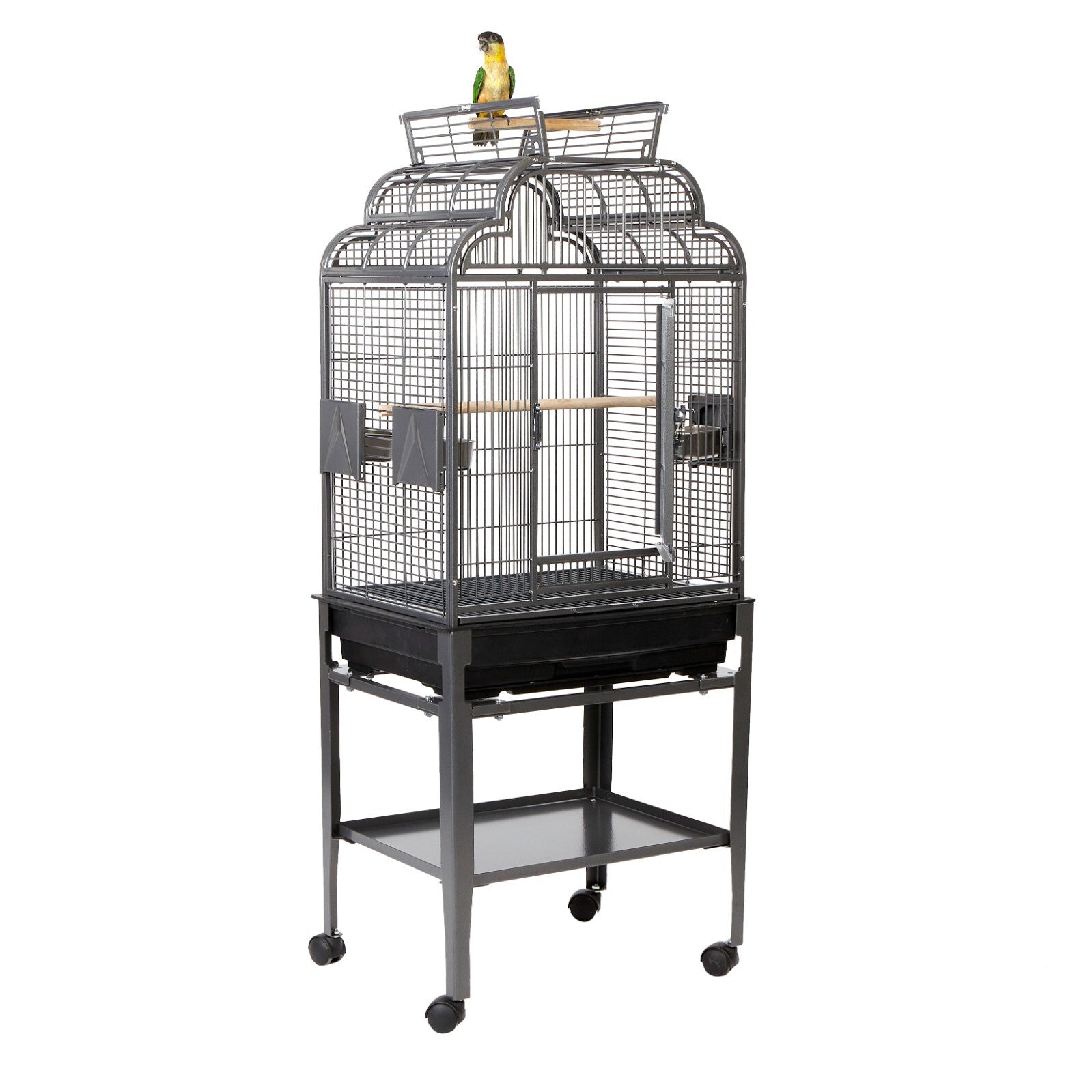 Rainforest Peru Small Parrot Senegal Caique Open Top Bird Antique Black Cage With Stand
