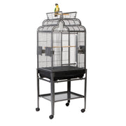 Rainforest Peru Small Parrot Senegal Caique Open Top Bird Antique Black Cage With Stand