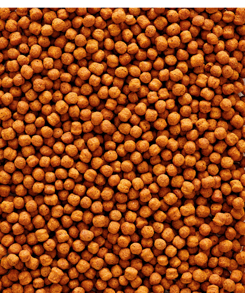 Versele Laga NutriBird T20 Pellet Breeding Large Fruit Insect Eating Birds 10kg