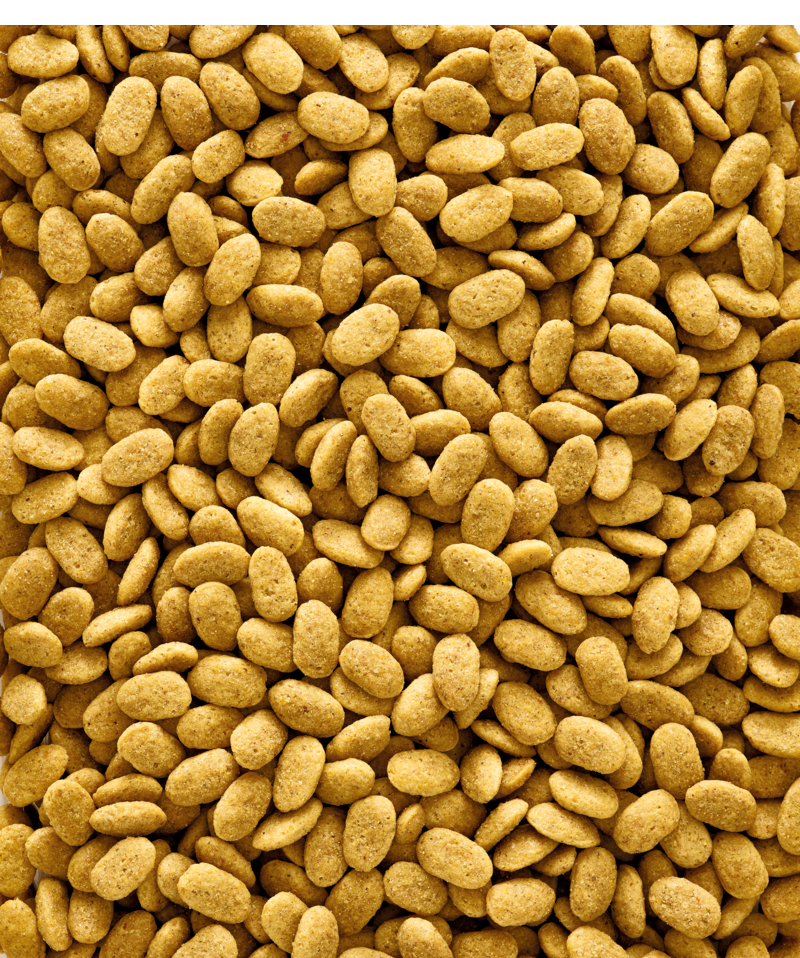 Versele Laga Nutribird P15 Original Extruded Pellets Parrot Food 1Kg