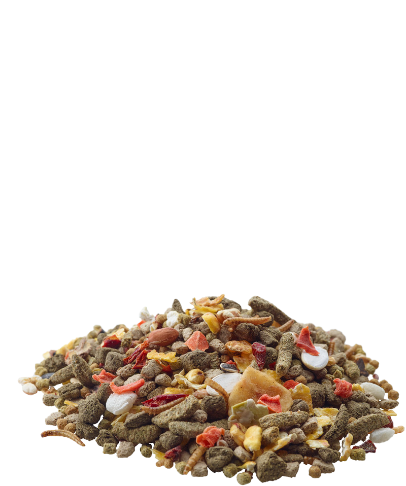 Versele Laga nature gerbil food seed complete mix 700g