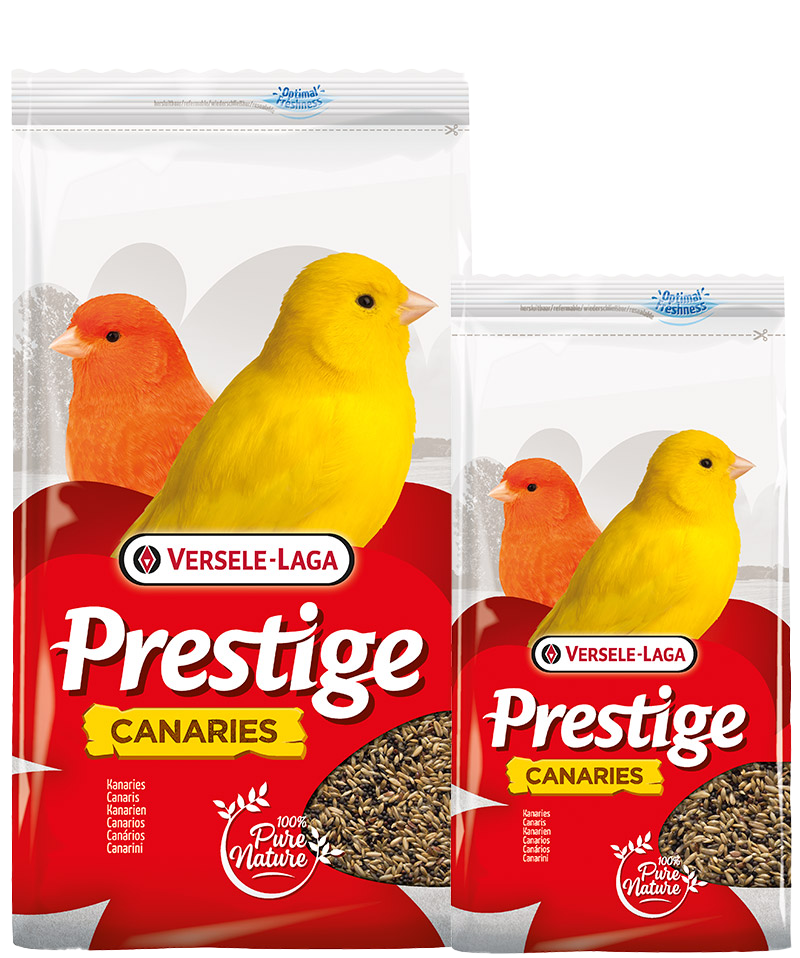 Versele-Laga Prestige Canary Specially for Singing Canaries 1KG