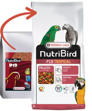 Versele laga Nutribird P19 Tropical Parrot food Breeding 10KG Sack