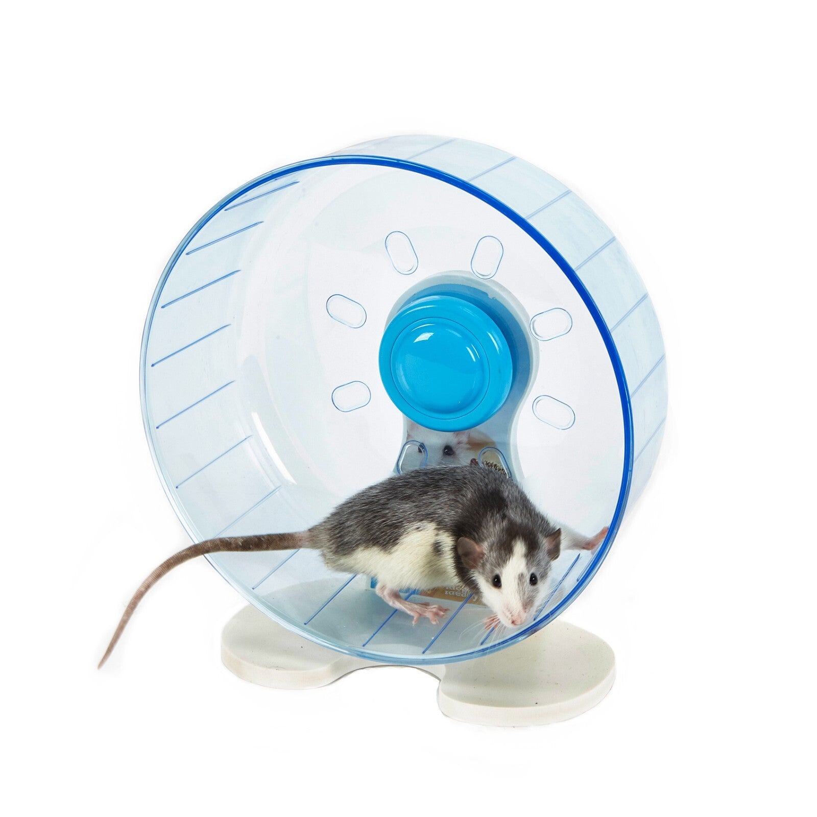 RODENT WHEEL SMALL ANIMAL RAT HEDGEHOG DEGU EXERCISE RUNNING WHEEL LARGE 25CM
