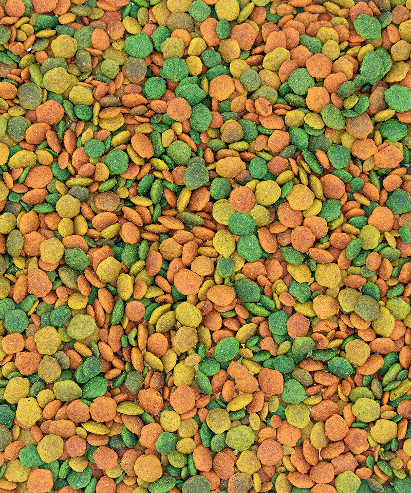 Versele Laga Nutribird G14 Tropical Cockatiel and big Parakeets  1kg