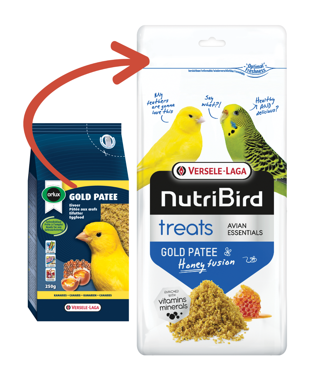 Versele Laga Orlux Gold Patee Canaries, Tropical & European Finches 5kg