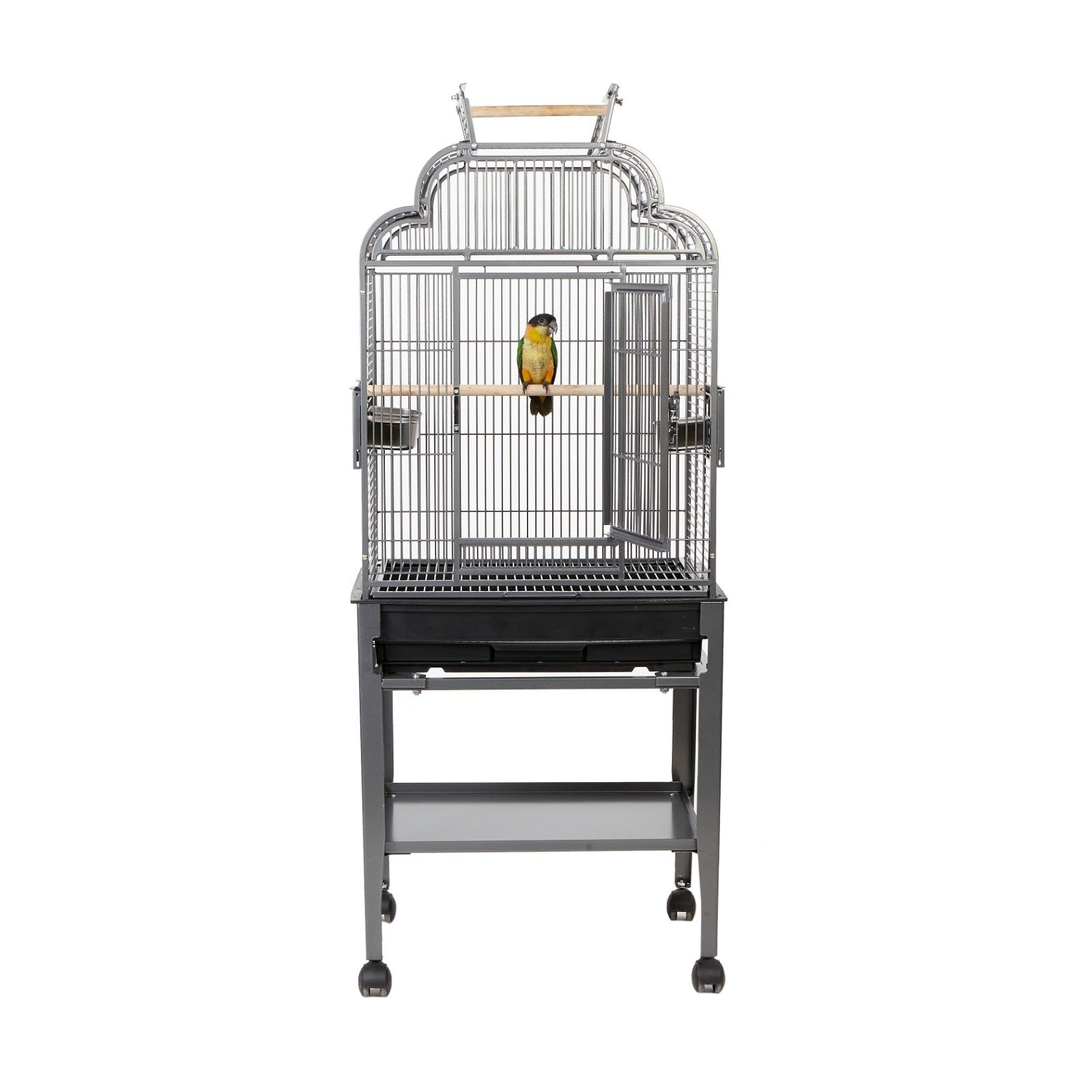Rainforest Peru Small Parrot Senegal Caique Open Top Bird Antique Black Cage With Stand