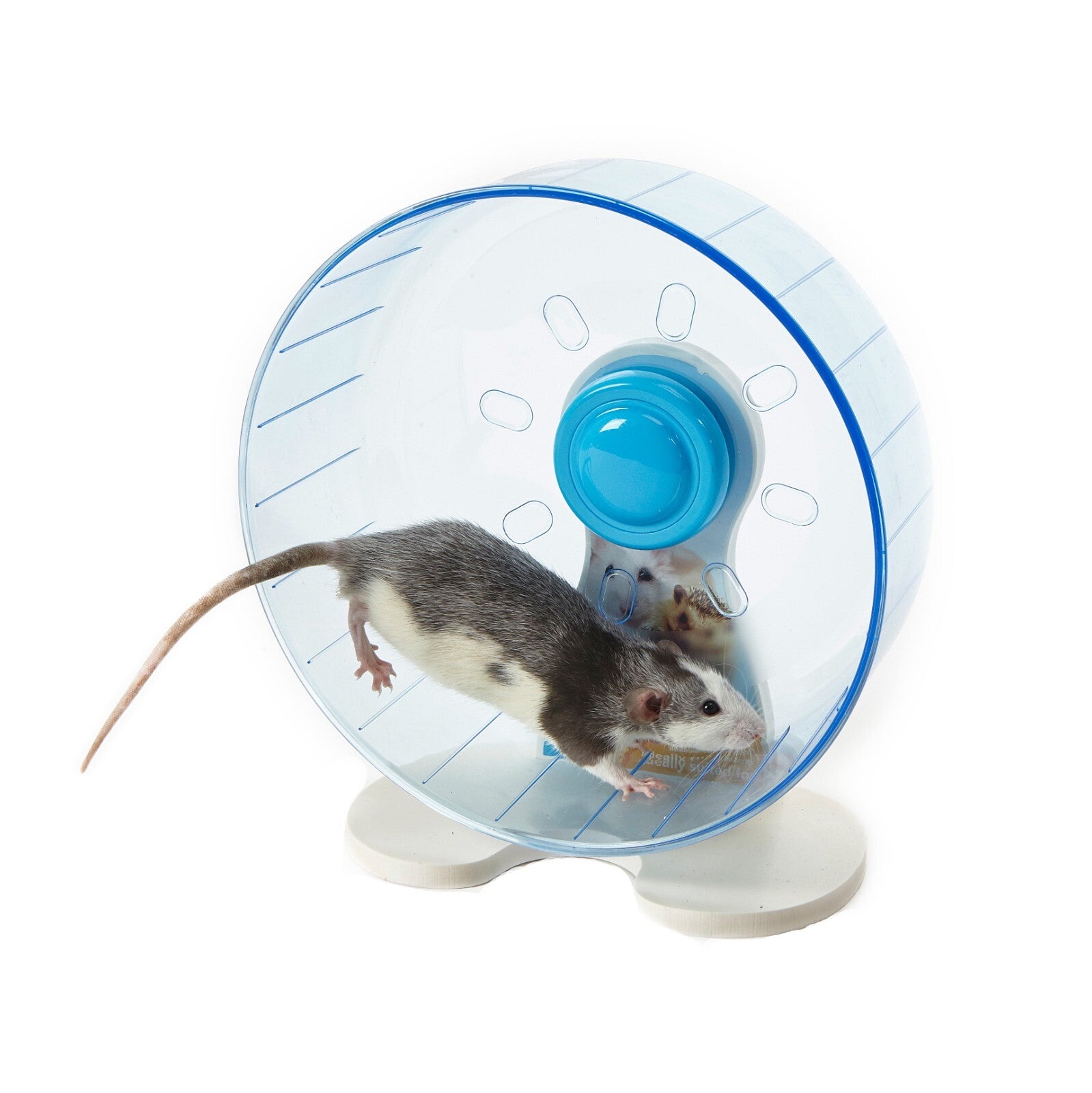 RODENT WHEEL SMALL ANIMAL RAT HEDGEHOG DEGU EXERCISE RUNNING WHEEL LARGE 25CM