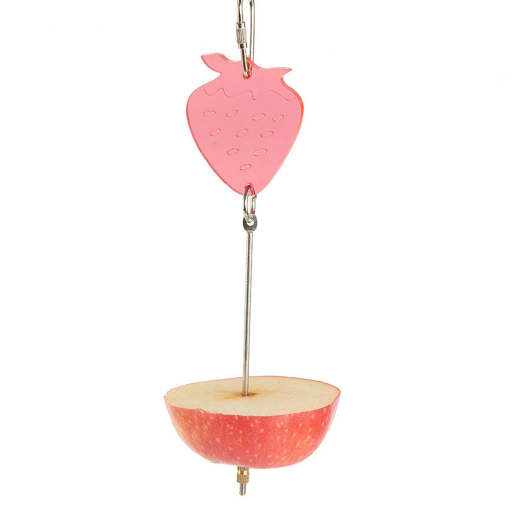 Fruit/Veg Spear Bird/Parrot Cage Fitted Feeder