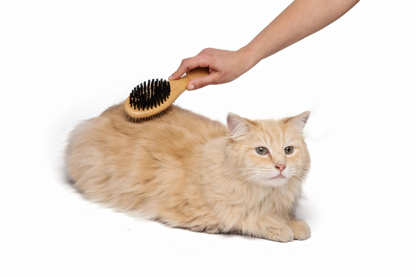 M-Pets Bamboo Double Sided Pin Brush Dog/Cat