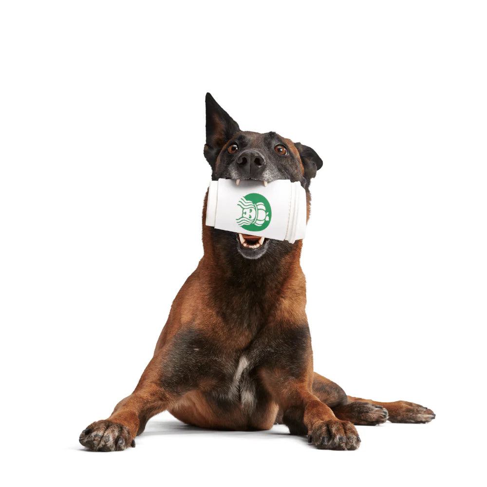 Bark Pupkin Spice Yappucino Treat Dispensing Dog/Puppy Toy