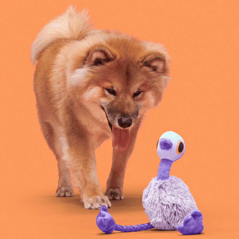 Bark Adelaide Emu Dog/Puppy Plush Rope Pull Through Toy
