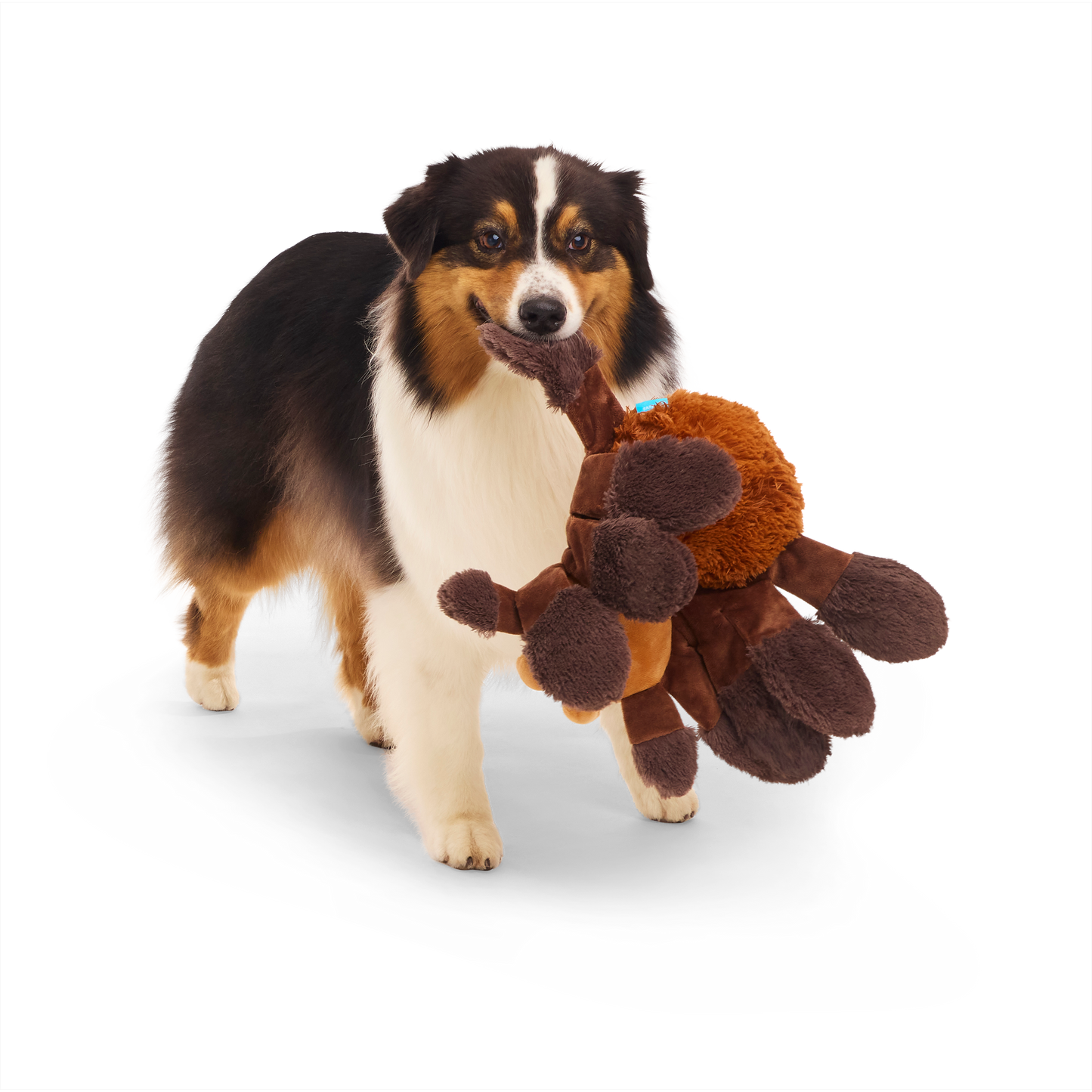 Bark Harry Potter Aragog Squeak Dog/Puppy Toy
