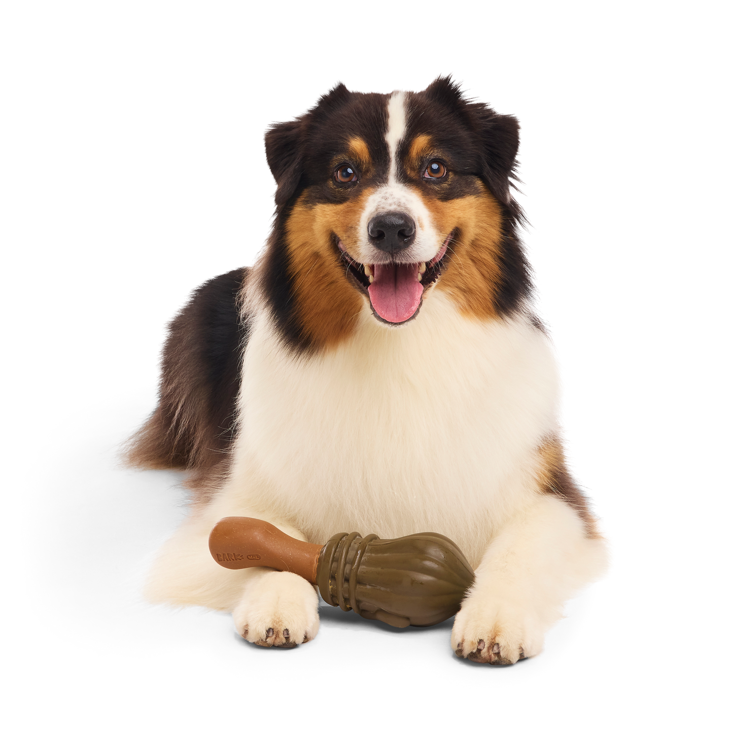 Bark Harry Potter Nimbus 2000 Bacon Scented Rubber Dog/Puppy Toy