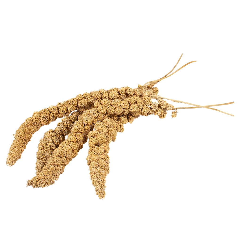 Witte Molen Country Millet Spray Ornamental Birds 150G