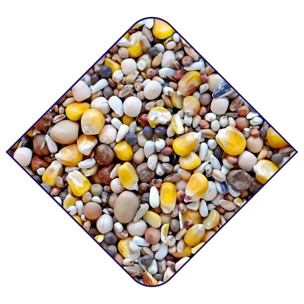 Witte Molen Breeding Yellow Pigeon WM Food 20KG