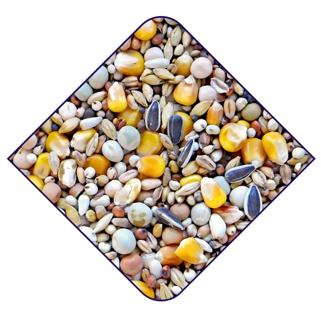 Witte Molen Racing Yellow WM Pigeon Food 20KG