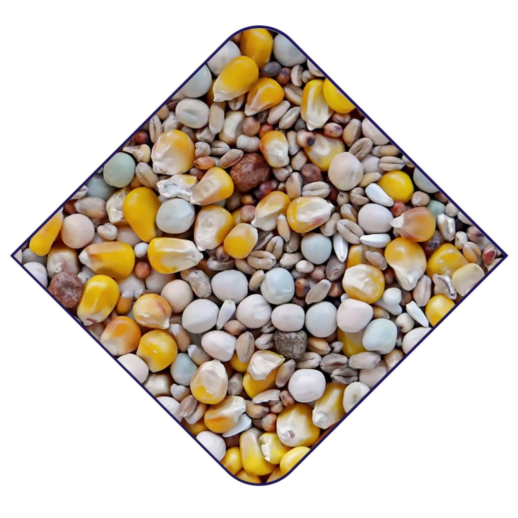 Witte Molen Standard 4 Seasons WM Pigeon Food 20KG