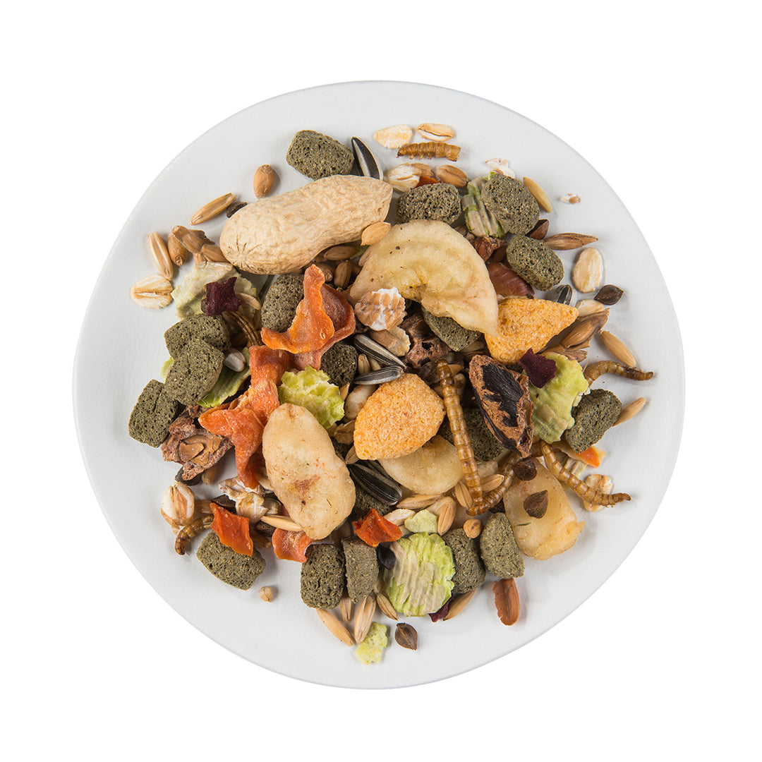 PUUR Rat Food