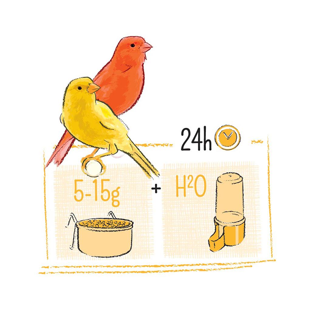 Witte Molen PUUR Canary Bird Seed 750G