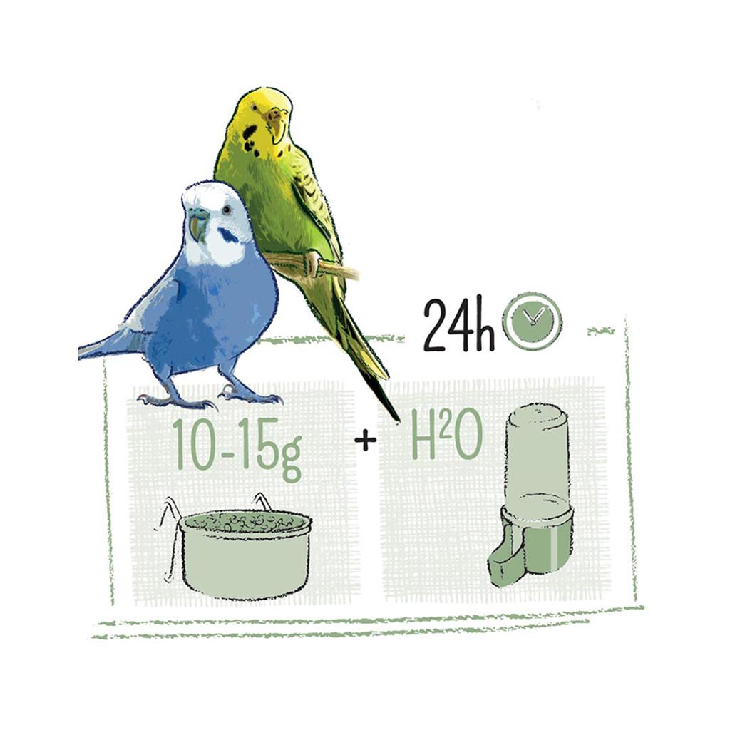 Witte Molen PUUR Budgie Bird Seed 750G