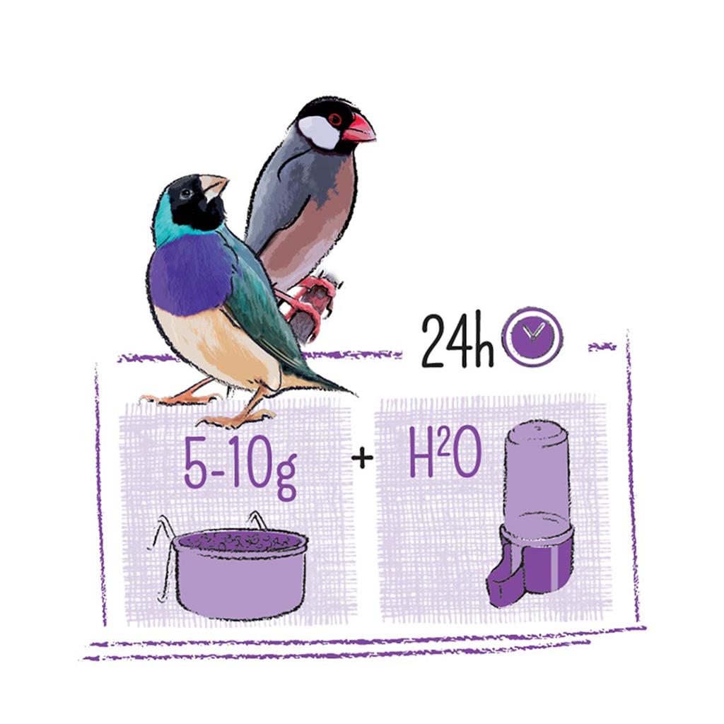 Witte Molen PUUR Tropical Bird Seed 750G
