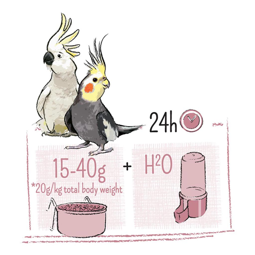 Witte Molen PUUR Large Parakeet/Cockatoo Bird Seed 750G