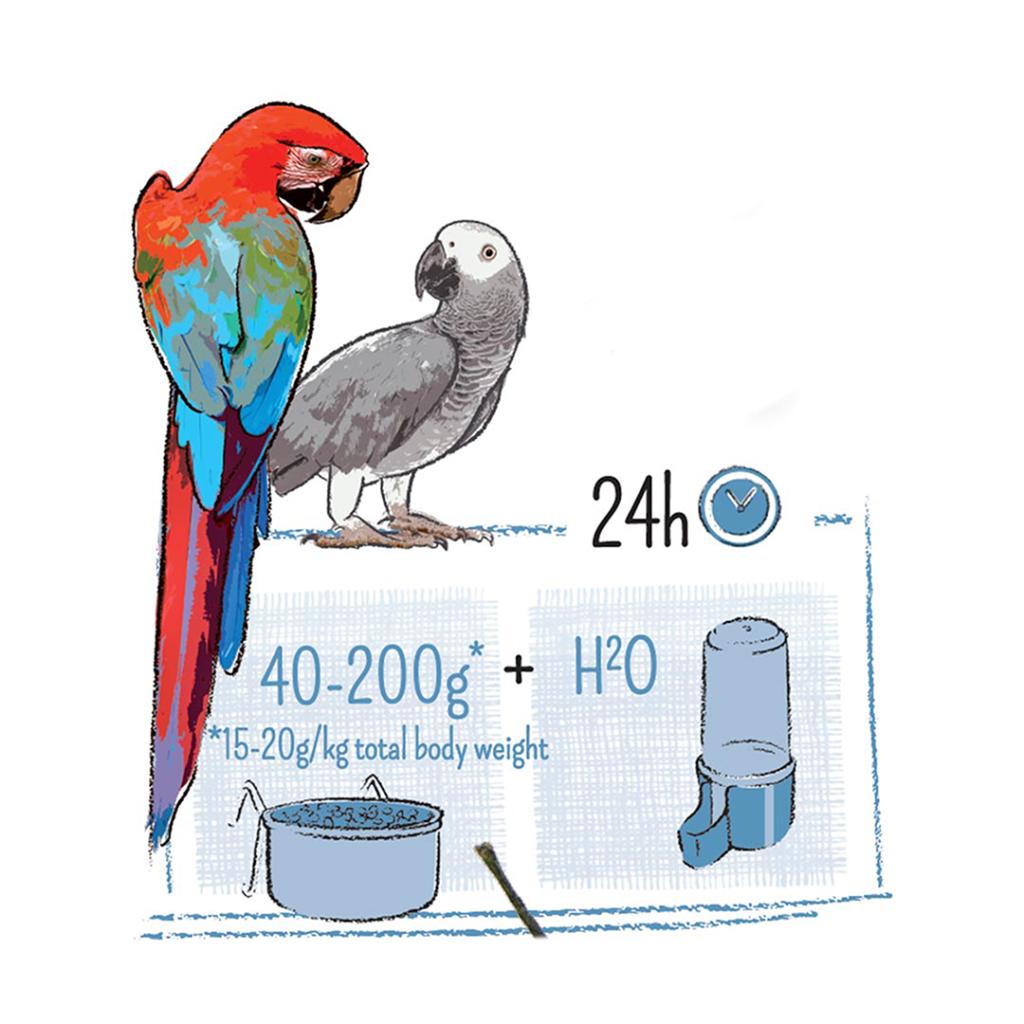 Witte Molen PUUR Parrot Bird Seed 2KG