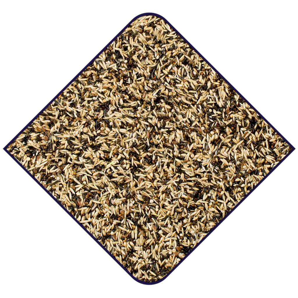 Witte Molen Expert Siskins Bird Seed 2KG