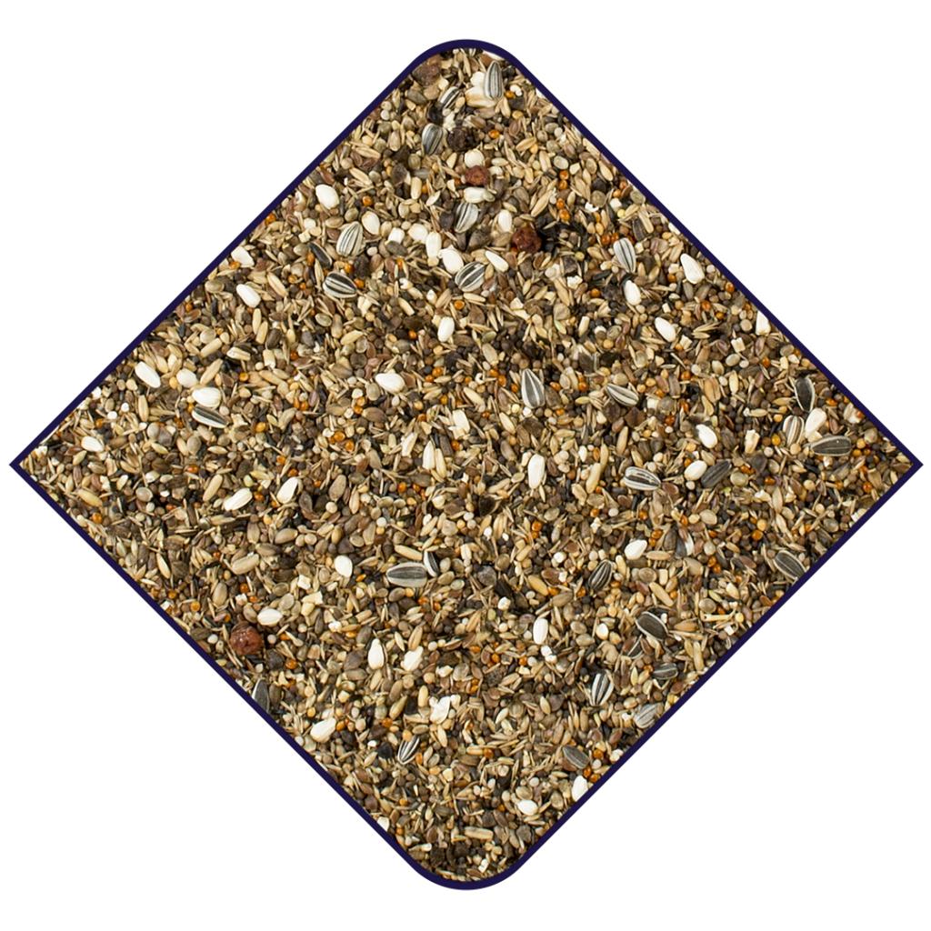 Witte Molen Expert Bullfinches Bird Seed 2KG