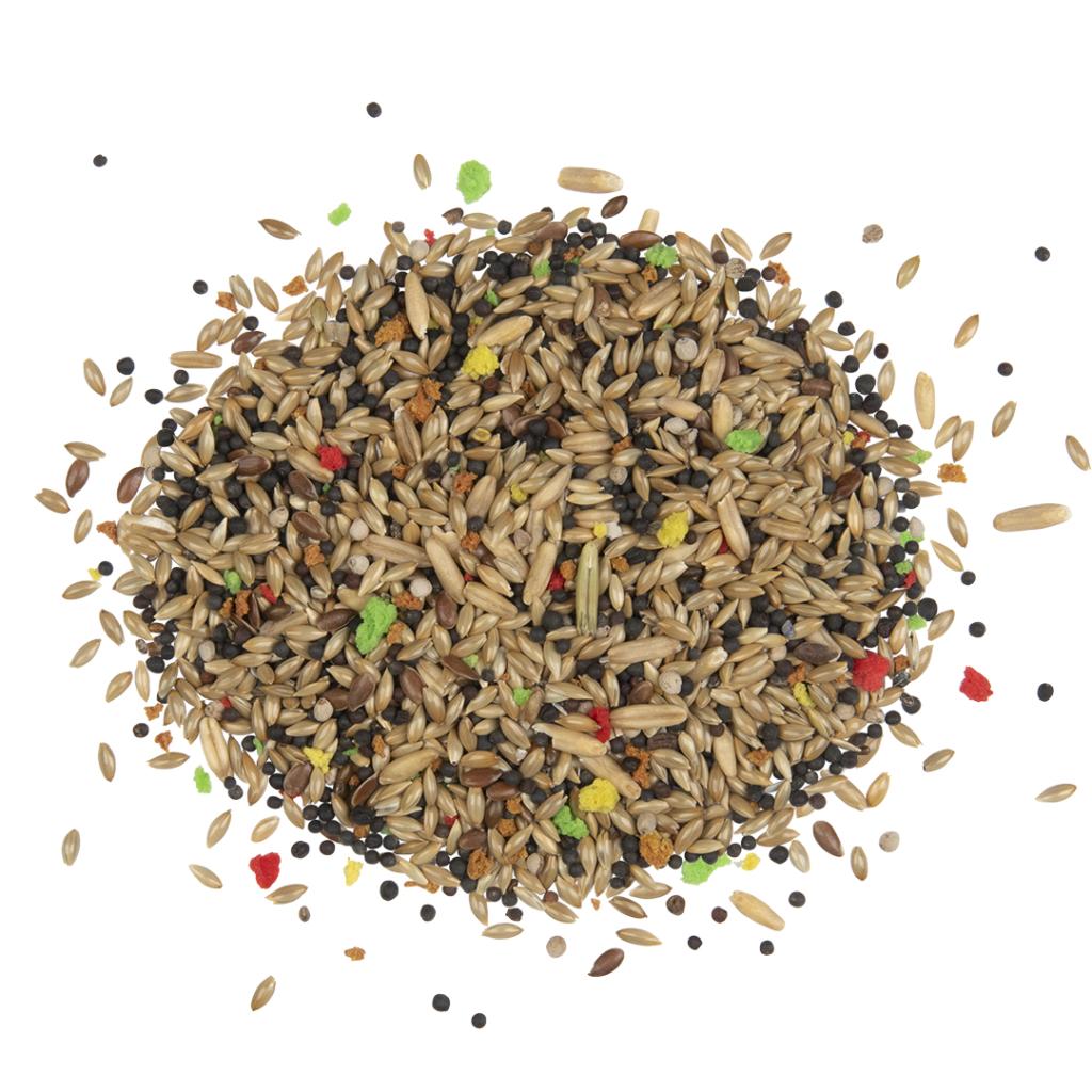 Witte Molen Country Canary Bird Seed 2.5KG