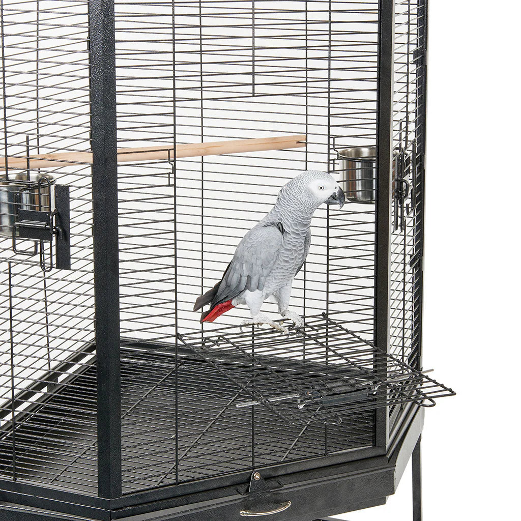 Liberta Alaska Bird/African Grey Cage