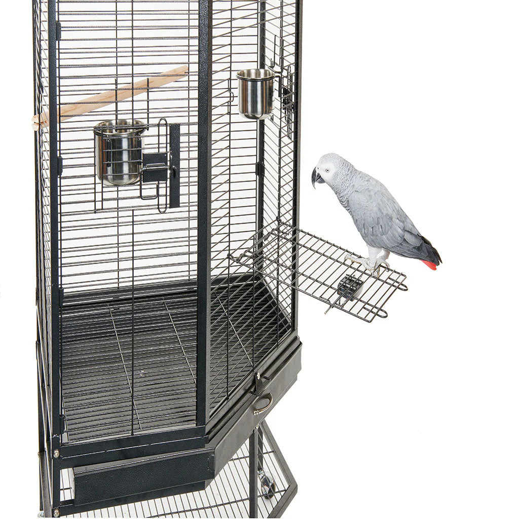 Liberta Alaska Bird/African Grey Cage