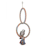 Double Coloured Parrot/Bird Ring Toy Swing