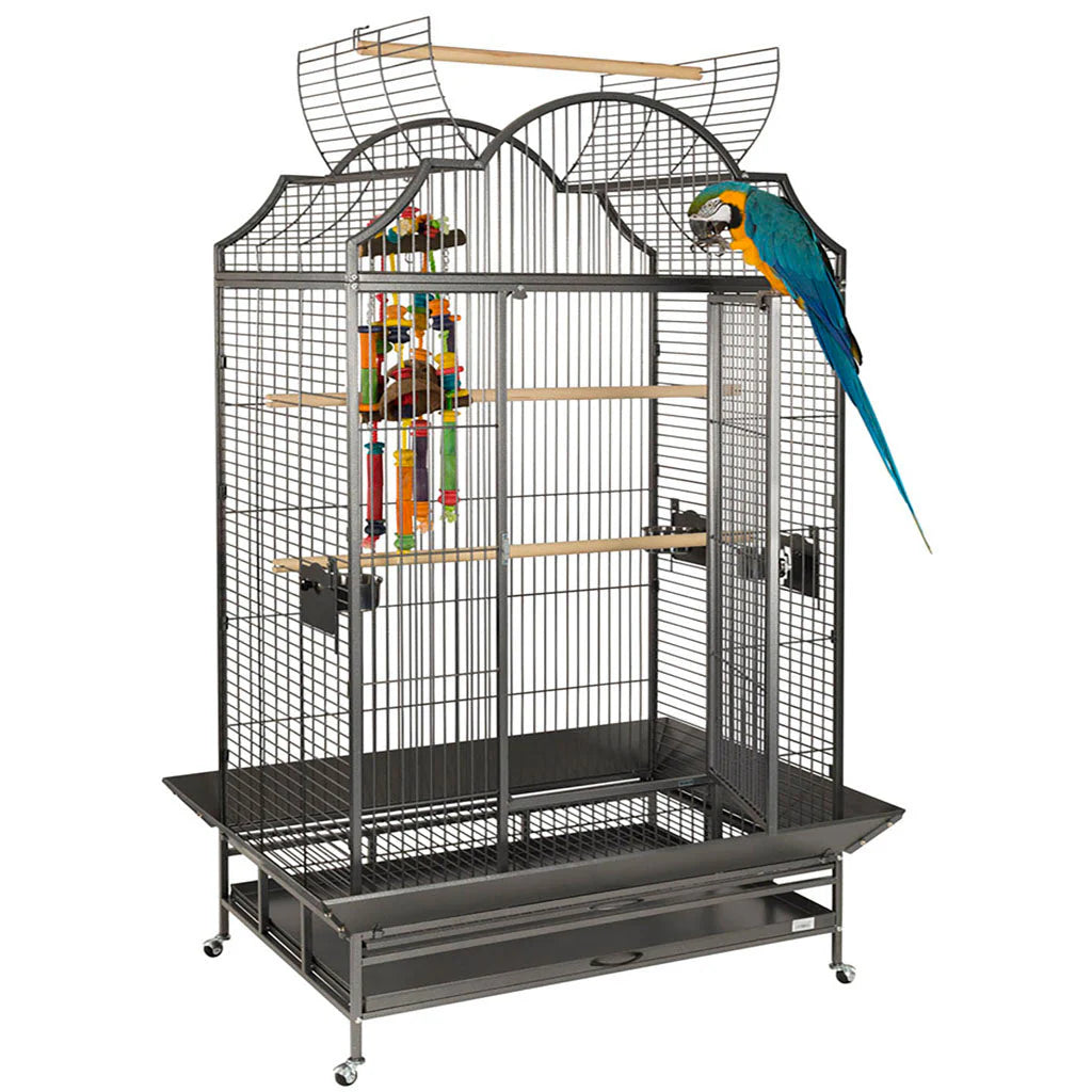 Liberta Enterprise Bird/Macaw/Parrot Cage